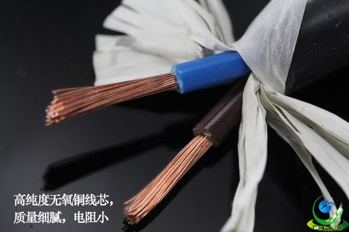 粵洋達(dá)RVV2*2.5